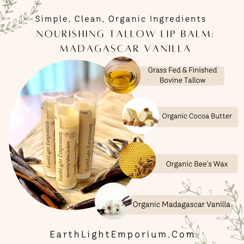 Nourishing Tallow Lip Balm Organic Cocao Butter and Organic Madagascar Vanilla Infused (0.15 0z | 4.25g) - Image 2